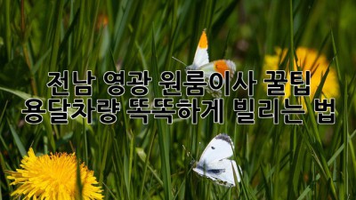 전남 영광 원룸이사 꿀팁🍯: 용달차량 똑똑하게 빌리는 법!